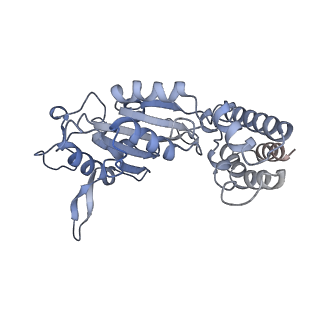 0312_6hz6_E_v1-1
Structure of McrBC without DNA binding domains (Class 2)