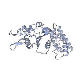 0312_6hz6_F_v1-1
Structure of McrBC without DNA binding domains (Class 2)