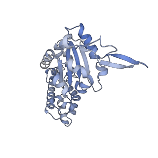 0312_6hz6_G_v1-1
Structure of McrBC without DNA binding domains (Class 2)