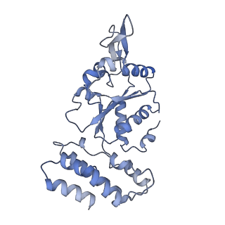 0312_6hz6_I_v1-1
Structure of McrBC without DNA binding domains (Class 2)