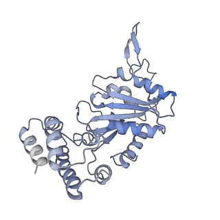 0312_6hz6_J_v1-1
Structure of McrBC without DNA binding domains (Class 2)