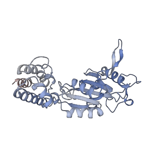 0312_6hz6_K_v1-1
Structure of McrBC without DNA binding domains (Class 2)