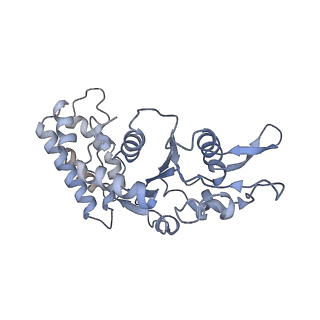 0312_6hz6_L_v1-1
Structure of McrBC without DNA binding domains (Class 2)