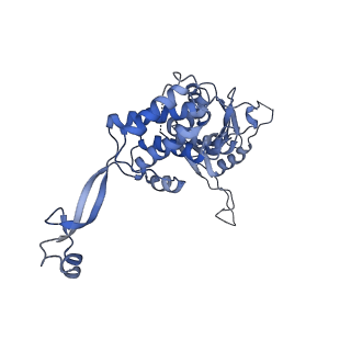 0312_6hz6_M_v1-1
Structure of McrBC without DNA binding domains (Class 2)