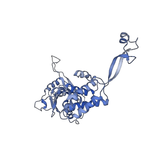 0312_6hz6_N_v1-1
Structure of McrBC without DNA binding domains (Class 2)