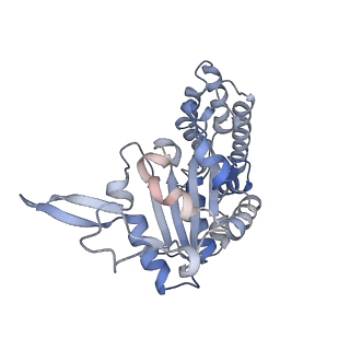 0313_6hz7_A_v1-1
Structure of McrBC without DNA binding domains (Class 3)