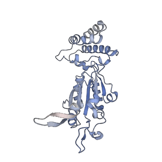 0313_6hz7_B_v1-1
Structure of McrBC without DNA binding domains (Class 3)