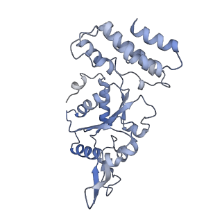 0313_6hz7_C_v1-1
Structure of McrBC without DNA binding domains (Class 3)