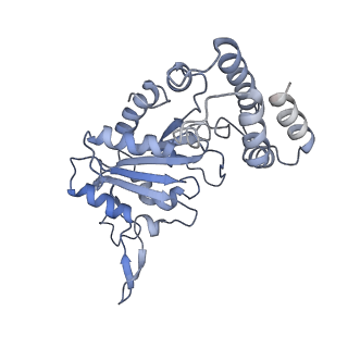 0313_6hz7_D_v1-1
Structure of McrBC without DNA binding domains (Class 3)