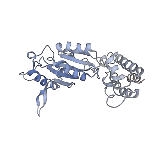 0313_6hz7_E_v1-1
Structure of McrBC without DNA binding domains (Class 3)