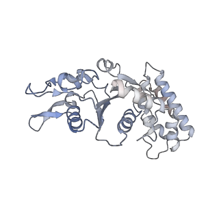 0313_6hz7_F_v1-1
Structure of McrBC without DNA binding domains (Class 3)
