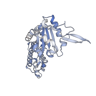 0313_6hz7_G_v1-1
Structure of McrBC without DNA binding domains (Class 3)