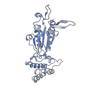 0313_6hz7_H_v1-1
Structure of McrBC without DNA binding domains (Class 3)