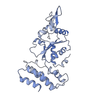 0313_6hz7_I_v1-1
Structure of McrBC without DNA binding domains (Class 3)