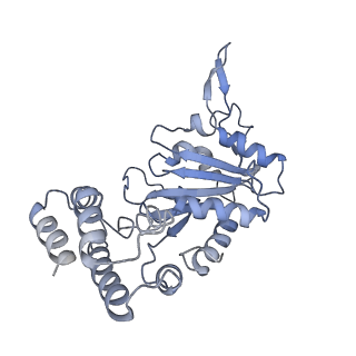 0313_6hz7_J_v1-1
Structure of McrBC without DNA binding domains (Class 3)