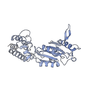 0313_6hz7_K_v1-1
Structure of McrBC without DNA binding domains (Class 3)