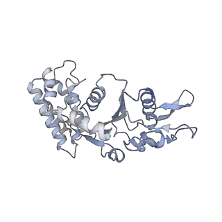 0313_6hz7_L_v1-1
Structure of McrBC without DNA binding domains (Class 3)