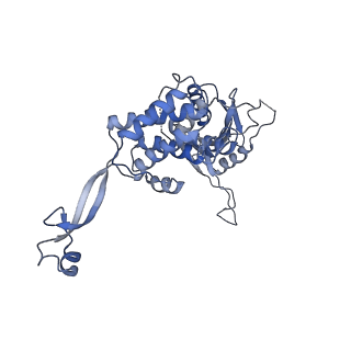 0313_6hz7_M_v1-1
Structure of McrBC without DNA binding domains (Class 3)