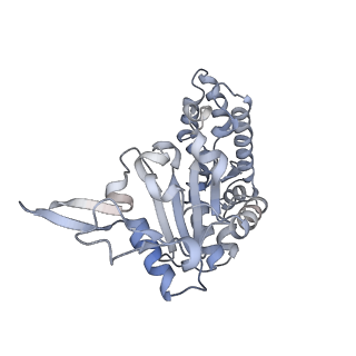 0314_6hz8_A_v1-1
Structure of McrBC without DNA binding domains (Class 4)