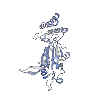 0314_6hz8_B_v1-1
Structure of McrBC without DNA binding domains (Class 4)