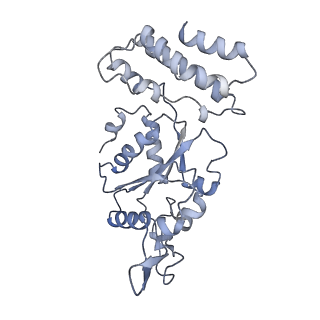 0314_6hz8_C_v1-1
Structure of McrBC without DNA binding domains (Class 4)