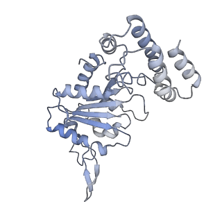 0314_6hz8_D_v1-1
Structure of McrBC without DNA binding domains (Class 4)