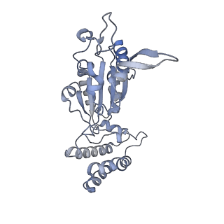 0314_6hz8_H_v1-1
Structure of McrBC without DNA binding domains (Class 4)