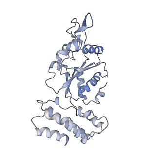 0314_6hz8_I_v1-1
Structure of McrBC without DNA binding domains (Class 4)