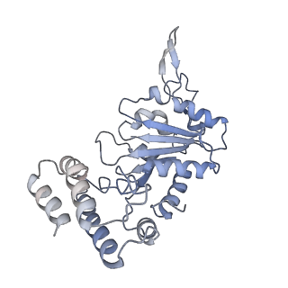 0314_6hz8_J_v1-1
Structure of McrBC without DNA binding domains (Class 4)