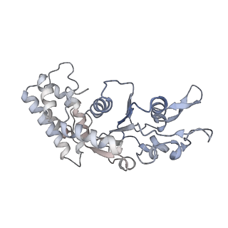 0314_6hz8_L_v1-1
Structure of McrBC without DNA binding domains (Class 4)
