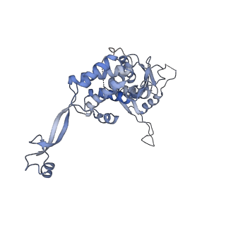 0314_6hz8_M_v1-1
Structure of McrBC without DNA binding domains (Class 4)