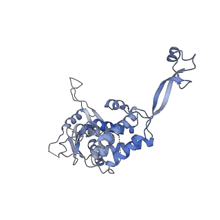 0314_6hz8_N_v1-1
Structure of McrBC without DNA binding domains (Class 4)