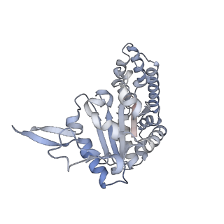 0315_6hz9_A_v1-1
Structure of McrBC without DNA binding domains (Class 5)