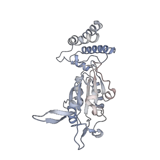 0315_6hz9_B_v1-1
Structure of McrBC without DNA binding domains (Class 5)