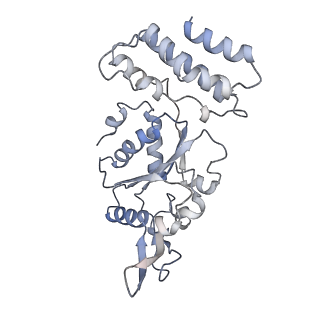 0315_6hz9_C_v1-1
Structure of McrBC without DNA binding domains (Class 5)