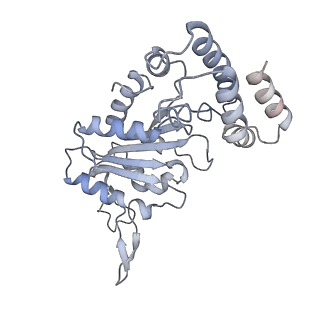 0315_6hz9_D_v1-1
Structure of McrBC without DNA binding domains (Class 5)