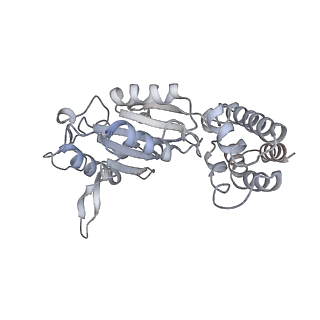 0315_6hz9_E_v1-1
Structure of McrBC without DNA binding domains (Class 5)