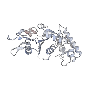 0315_6hz9_F_v1-1
Structure of McrBC without DNA binding domains (Class 5)