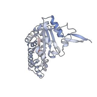 0315_6hz9_G_v1-1
Structure of McrBC without DNA binding domains (Class 5)