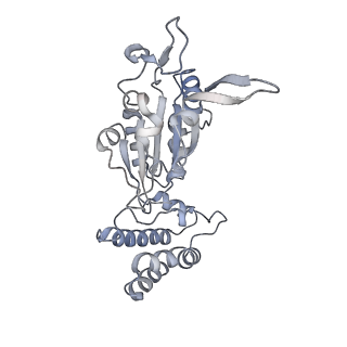 0315_6hz9_H_v1-1
Structure of McrBC without DNA binding domains (Class 5)