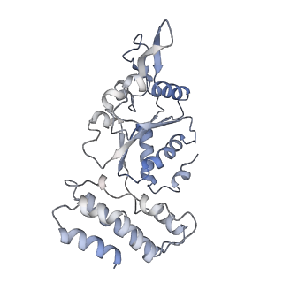 0315_6hz9_I_v1-1
Structure of McrBC without DNA binding domains (Class 5)