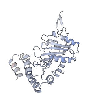 0315_6hz9_J_v1-1
Structure of McrBC without DNA binding domains (Class 5)