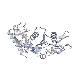 0315_6hz9_L_v1-1
Structure of McrBC without DNA binding domains (Class 5)