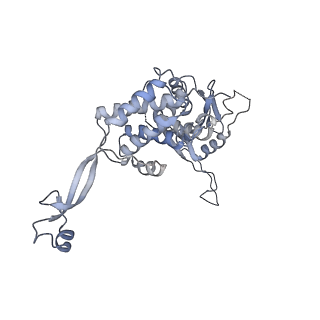 0315_6hz9_M_v1-1
Structure of McrBC without DNA binding domains (Class 5)