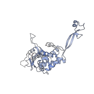 0315_6hz9_N_v1-1
Structure of McrBC without DNA binding domains (Class 5)