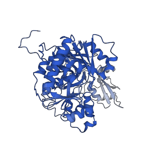 35091_8hzx_A_v1-0
Acyl-ACP Synthetase structure-2