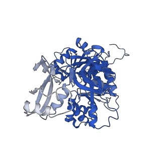 35091_8hzx_B_v1-0
Acyl-ACP Synthetase structure-2