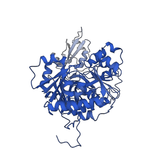 35091_8hzx_E_v1-0
Acyl-ACP Synthetase structure-2
