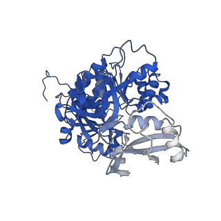35091_8hzx_F_v1-0
Acyl-ACP Synthetase structure-2