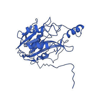0320_6i00_A_v1-3
Cryo-EM informed directed evolution of Nitrilase 4 leads to a change in quaternary structure.